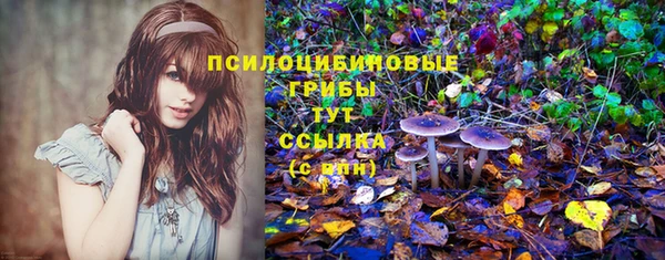амф Волосово
