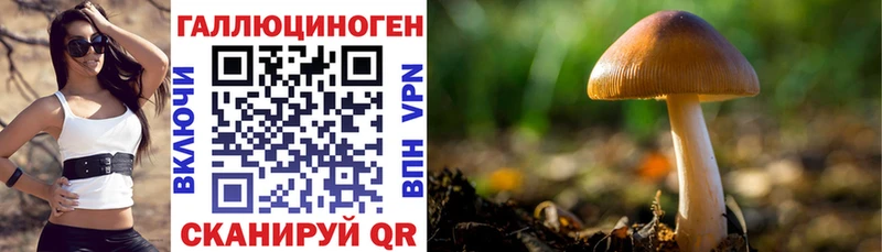 Купить закладки  Ликино-Дулёво  Псилоцибиновые грибы Psilocybe 